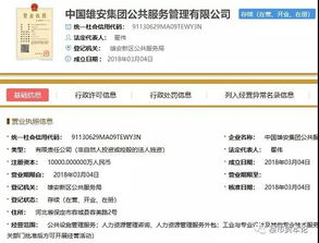 中央全球推介雄安新区 雄安集团六大子公司成立，信息系统集成服务成亮点