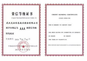 光谷信息2017 聚前行,梦远航 信息系统集成服务